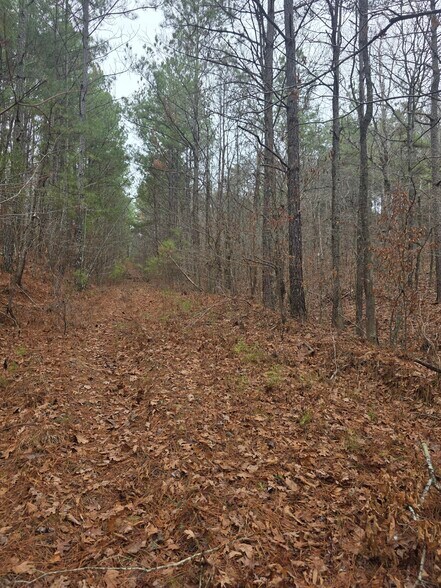 More Photos Of 221 East Lane Ln, Oneonta Land For Sale