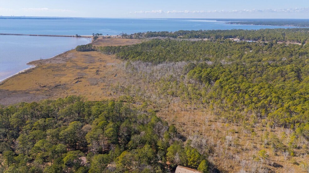 More Photos Of Hwy 331 S & Jolly Bay Road, Freeport Land For Sale