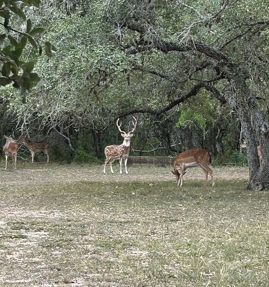 More Photos Of 5734 County Road 305, Beeville Land For Lease