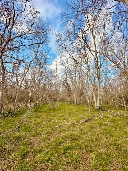 More Photos Of County 39 rd, Rosharon Land For Sale