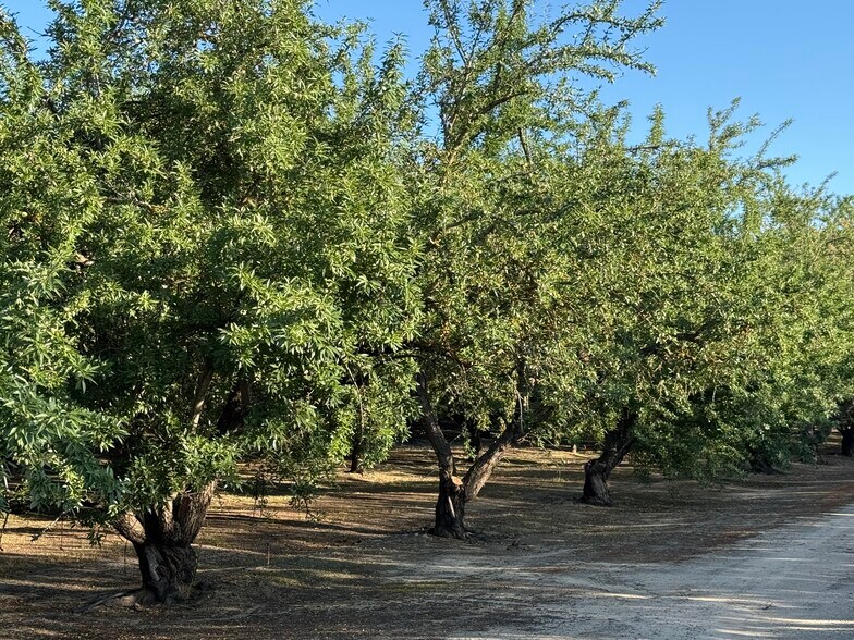 More Photos Of 2700 North Ave ave, Modesto Land For Sale