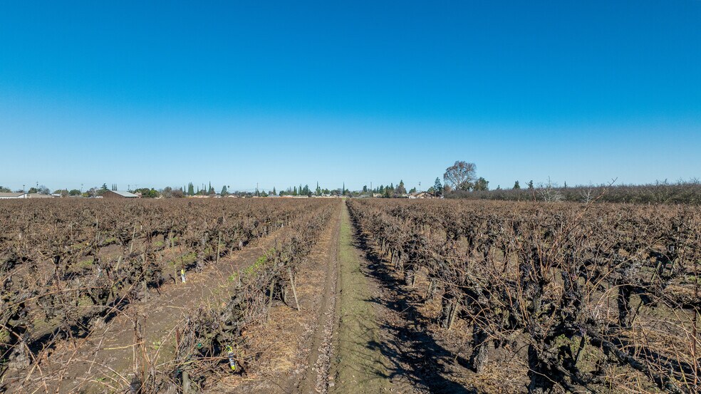 More Photos Of 6160 E Lathrop Rd, Manteca Land For Sale