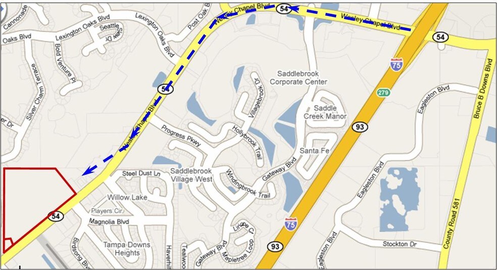 More Photos Of State Road 54, Wesley Chapel Land For Sale