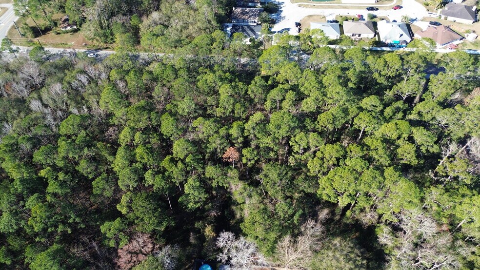More Photos Of 0 Baxley Rd, Middleburg Land For Sale