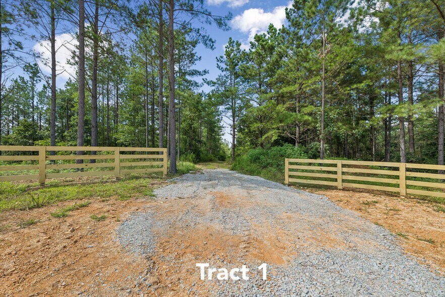 Primary Photo Of 1420 Big Swan Creek Rd, Summertown Land For Sale