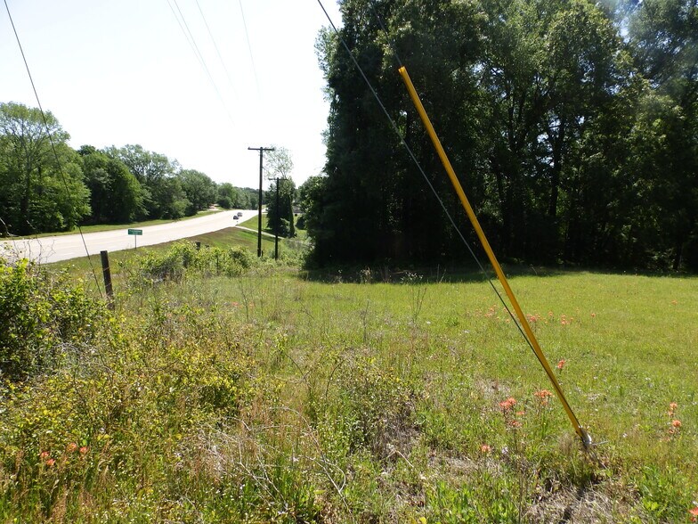 More Photos Of 3168 US Highway 175, Frankston Land For Sale