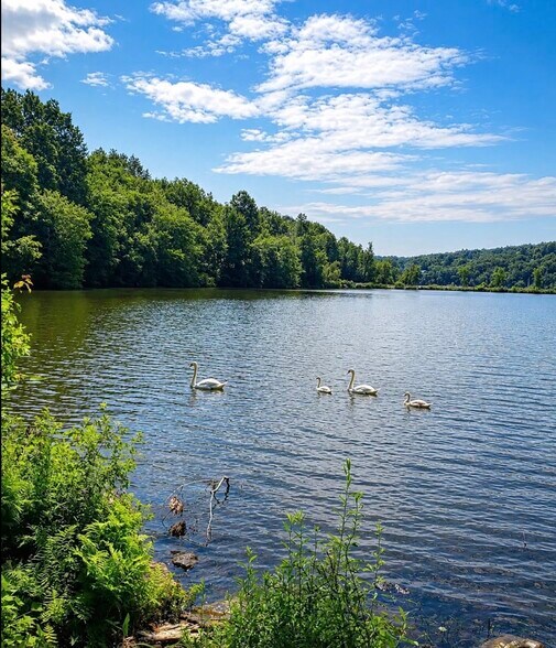 Primary Photo Of Melody Ln, Waterbury Land For Sale