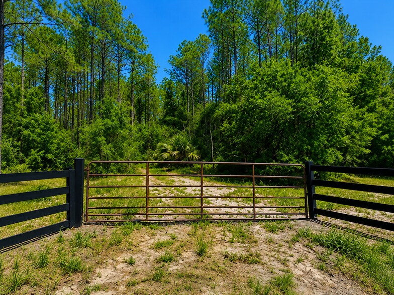 More Photos Of NE 353 Hwy, Cross City Land For Sale