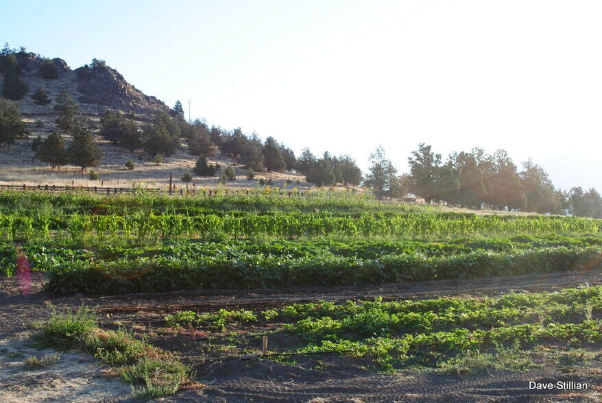 More Photos Of 3104 Harry Cash Rd, Montague Land For Sale