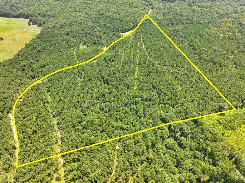 More Photos Of 0 Slim Palmer Road, Zavalla Land For Sale