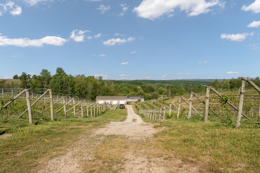 More Photos Of 10343 E Hilltop Rd, Suttons Bay Winery Vineyard For Sale
