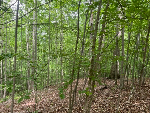 More Photos Of 7585 Mason Springs Rd, La Plata Land For Sale