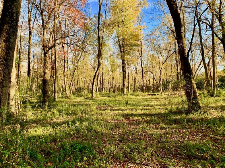 Primary Photo Of 1882 Barber Creek Rd, Statham Land For Sale