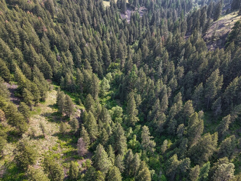 More Photos Of 45XXX Devore Rd, Davenport Land For Sale