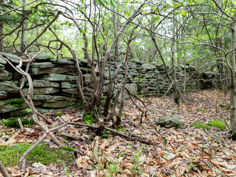 More Photos Of 1 Snow Hill Rd, Parksville Land For Sale