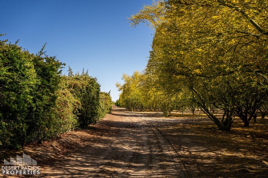 More Photos Of 82501 65th Ave, Thermal Land For Sale