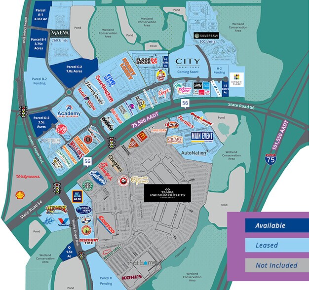 More Photos Of Wesley Chapel Blvd, Lutz Land For Sale