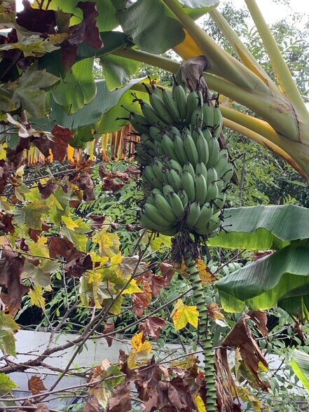 More Photos Of ,  Unknown For Sale