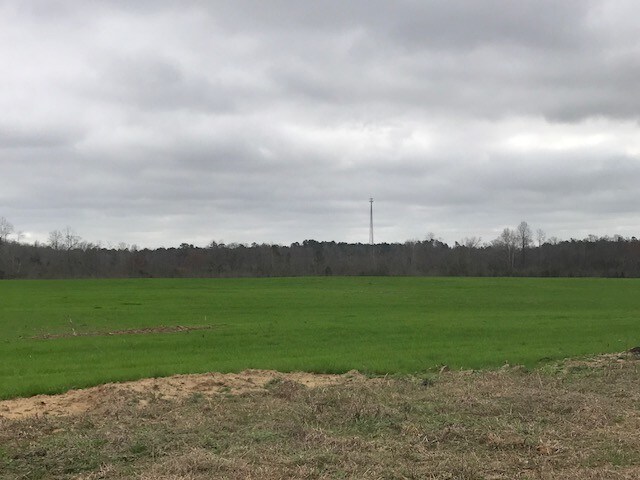 Primary Photo Of I-16 & Hwy 96, Jeffersonville Land For Sale