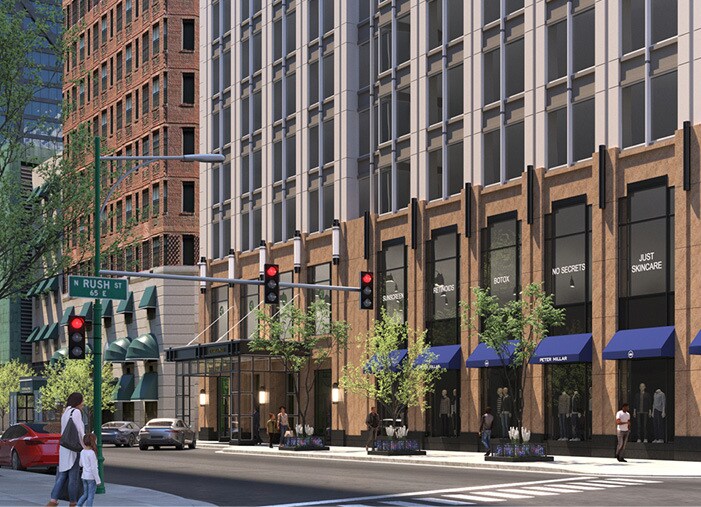 Primary Photo Of 875 N Rush St, Chicago Apartments For Lease