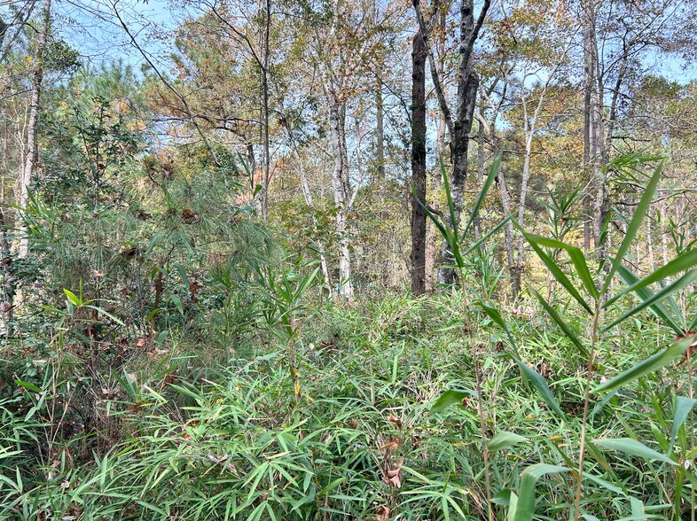 More Photos Of 2224 Governors rd, Windsor Land For Sale