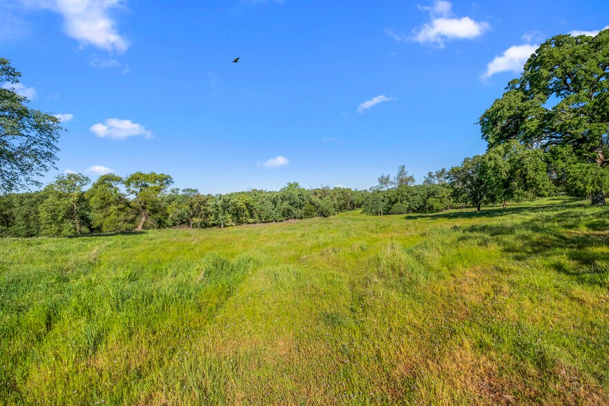 More Photos Of 3000 Alexandrite Dr, Rescue Land For Sale