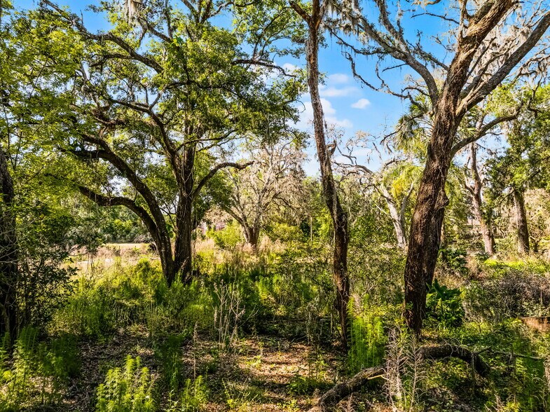 More Photos Of 3633 Panther Path Rd, Lutz Land For Sale