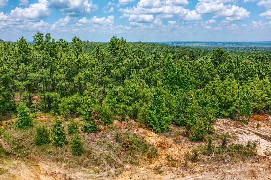More Photos Of TBD State Hwy 64, Tyler Land For Sale
