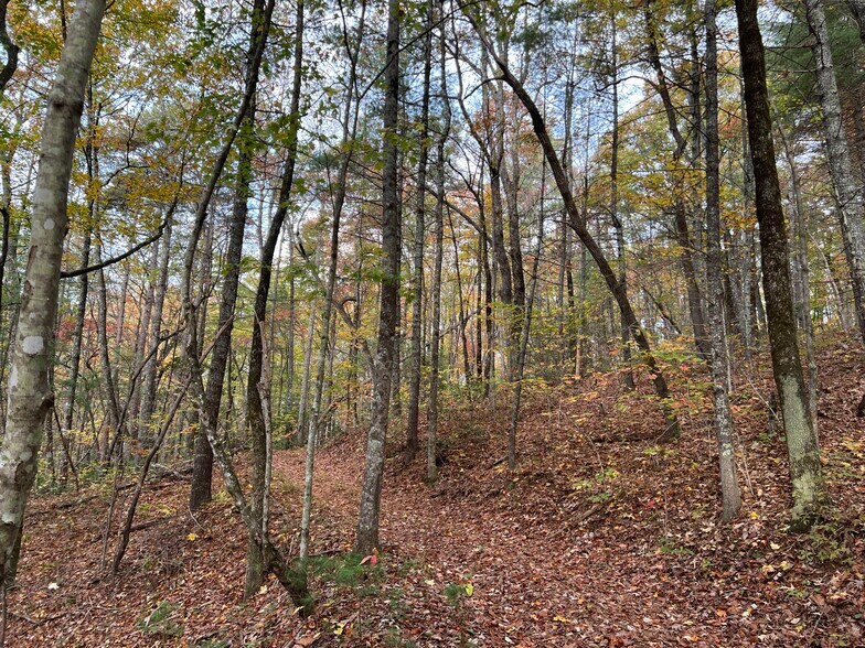 More Photos Of Whitecliff Drive, Ellijay Land For Sale