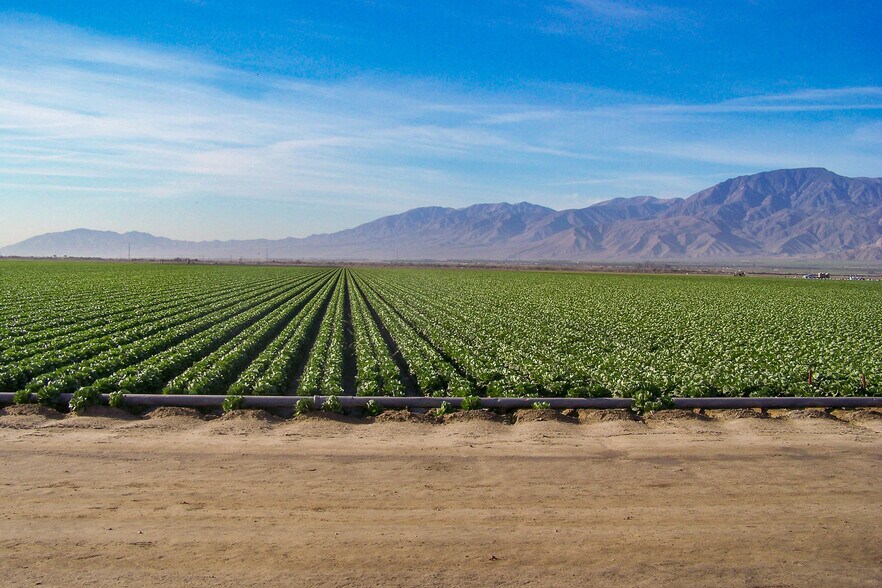 Primary Photo Of 59059 Jackson st, Thermal Land For Lease