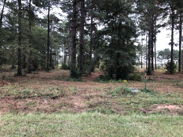 More Photos Of Wood Oak Cir, Cochran Land For Sale