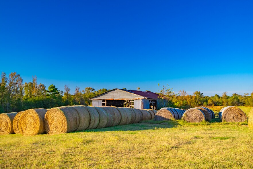 More Photos Of 391 Farm to Market 1519, Scroggins Land For Sale