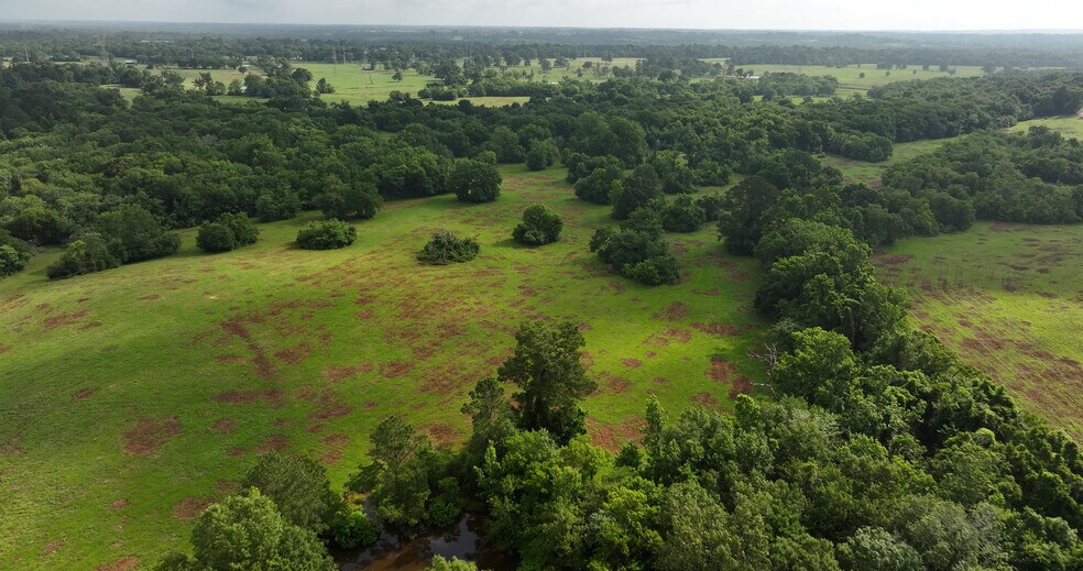 More Photos Of 2268 FM 1486, Montgomery Land For Sale