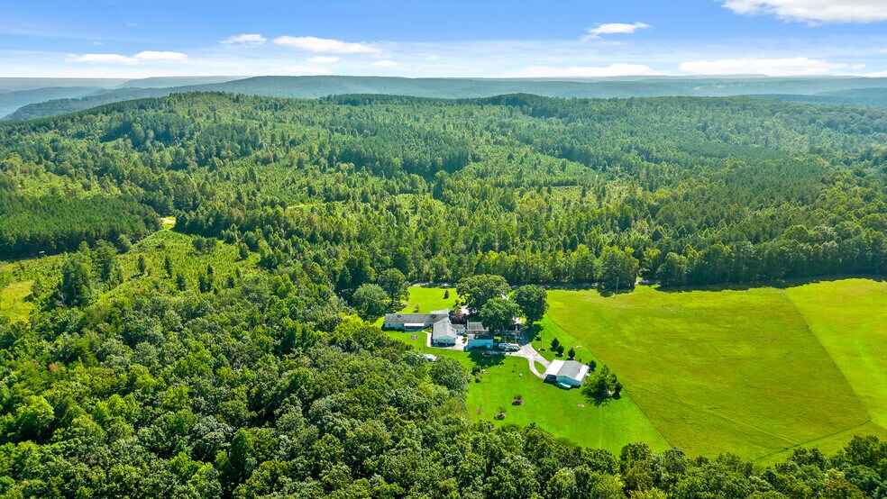 More Photos Of 3872 Brayton Mountain Rd, Graysville Skilled Nursing Facility For Sale