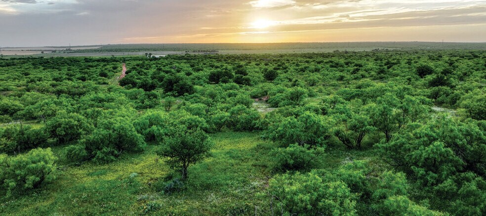 More Photos Of 1510 US Highway 83, Childress Land For Sale