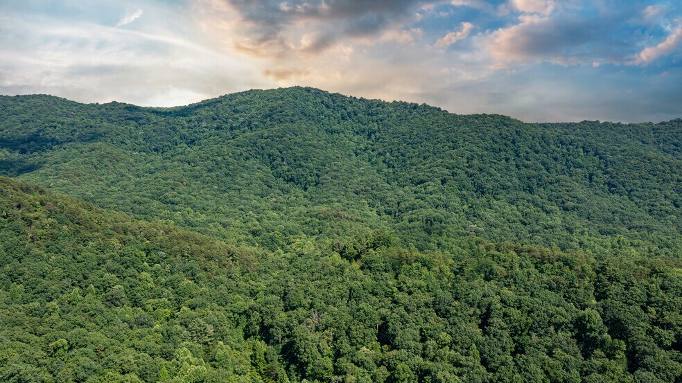 More Photos Of Mountain Cove Estates Rd, Cherry Log Land For Sale