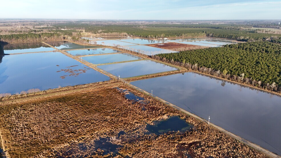 More Photos Of 5619 Emma Cannon Rd, Ayden Land For Sale