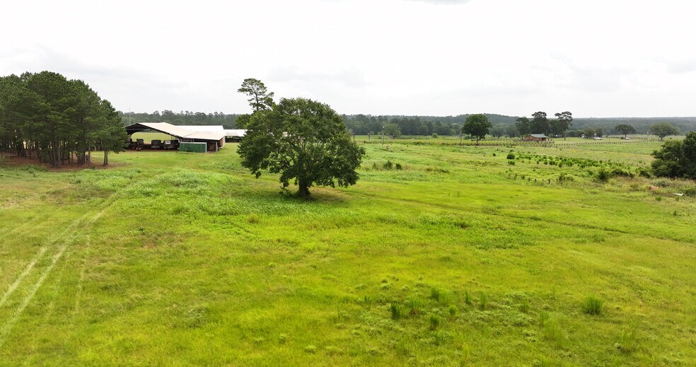 More Photos Of 44 Bucking Bull Rd, New Waverly Land For Sale