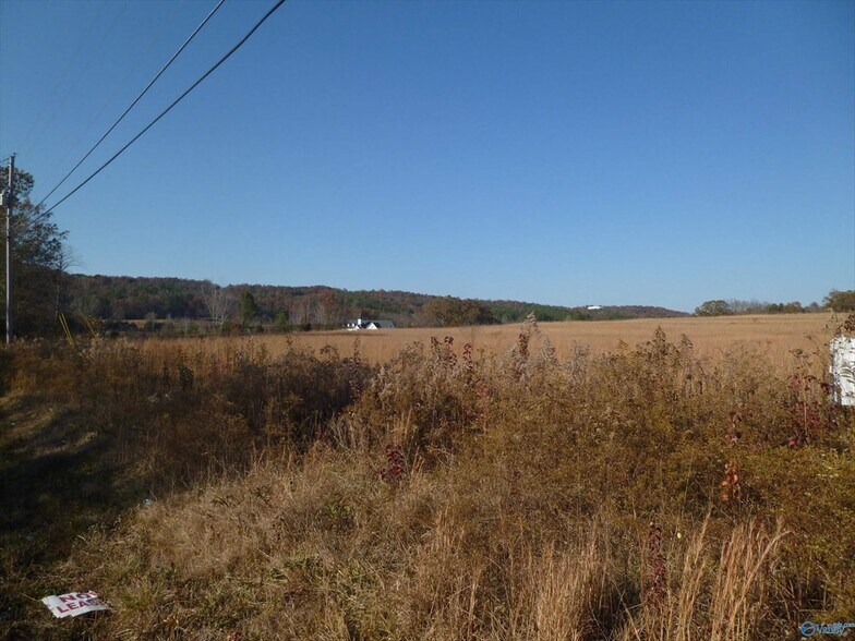More Photos Of 5504 Martin Ave NE, Fort Payne Land For Sale