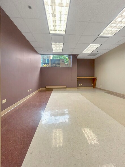 More Photos Of 333 Chestnut St, Hinsdale Medical For Lease