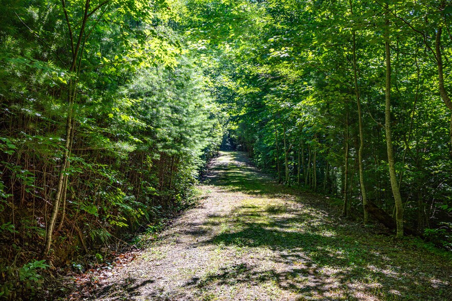 More Photos Of Mountain Cove Estates Rd, Cherry Log Land For Sale