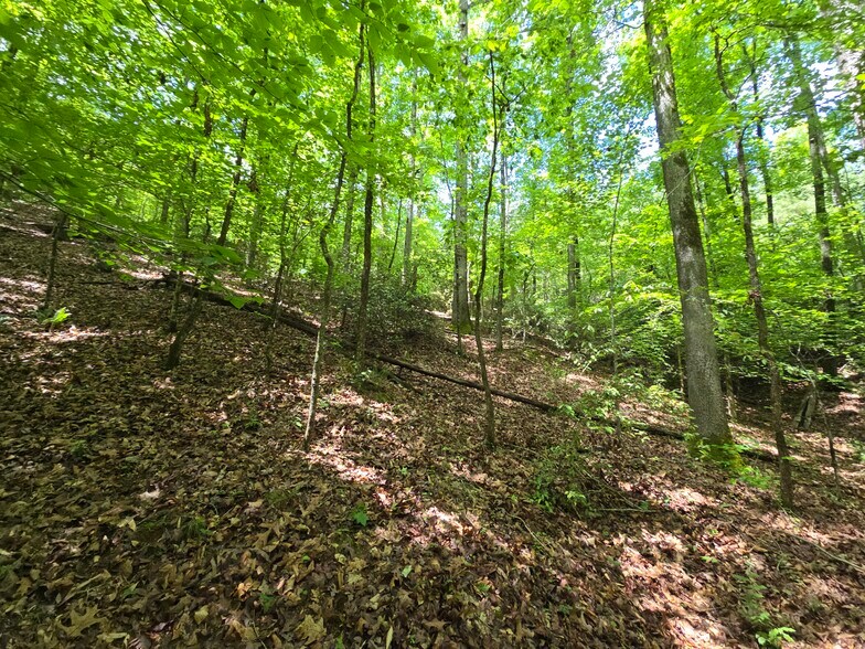 More Photos Of Davis Lake Rd @ Old Talbotton Rd, Thomaston Land For Sale