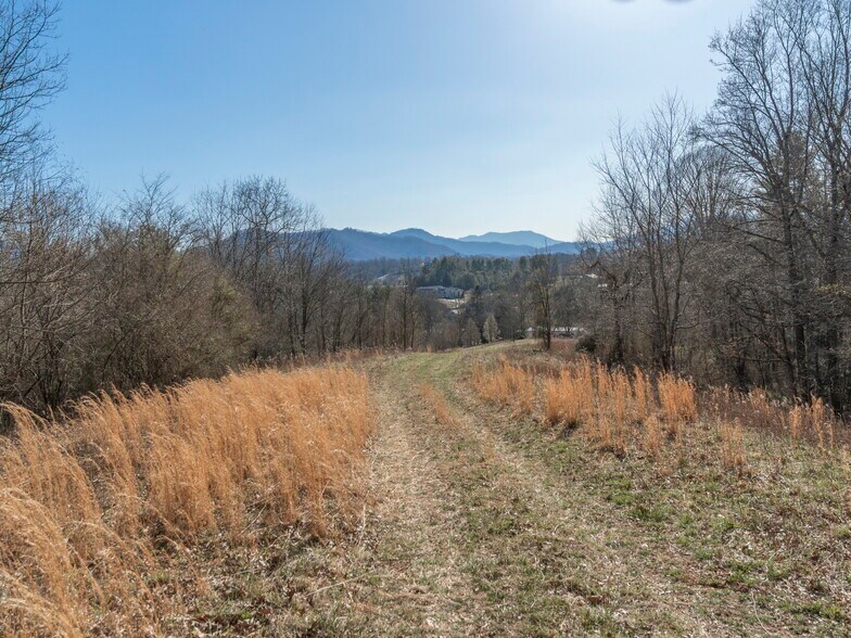 More Photos Of 74 Buckeye Cove Rd, Canton Land For Sale