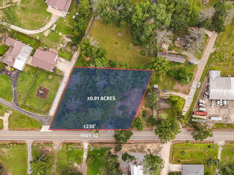 More Photos Of 44098 HWY 42, Prairieville Land For Sale