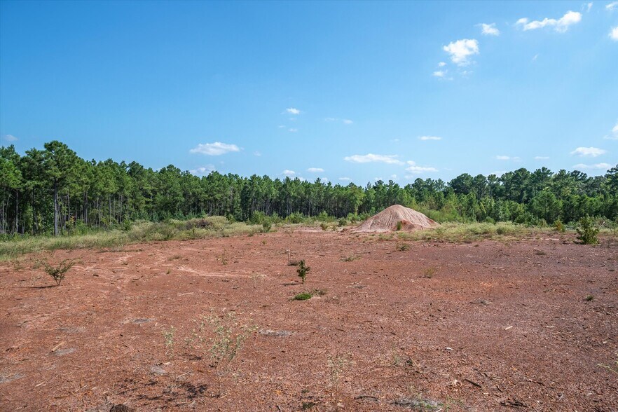 More Photos Of 18021 State Highway 155 S hwy, Flint Land For Sale