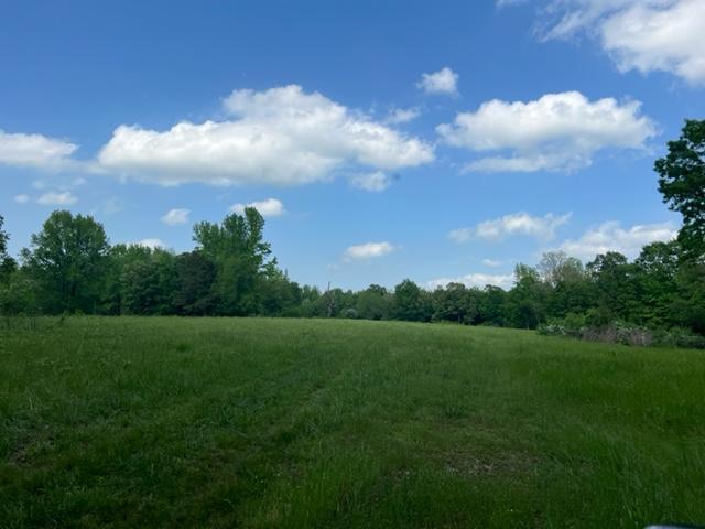 More Photos Of Harrison St / US HWY 69, Batesville Land For Sale