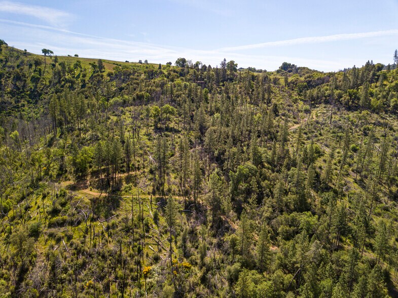 More Photos Of 0000 Upton Rd, Somerset Land For Sale