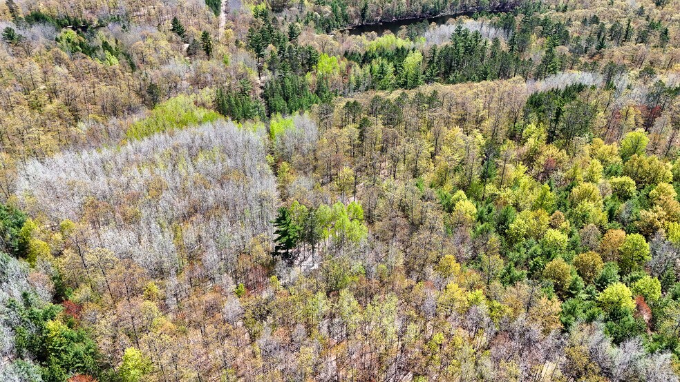 More Photos Of 7849 US Highway 51, Minocqua Sports And Entertainment For Sale