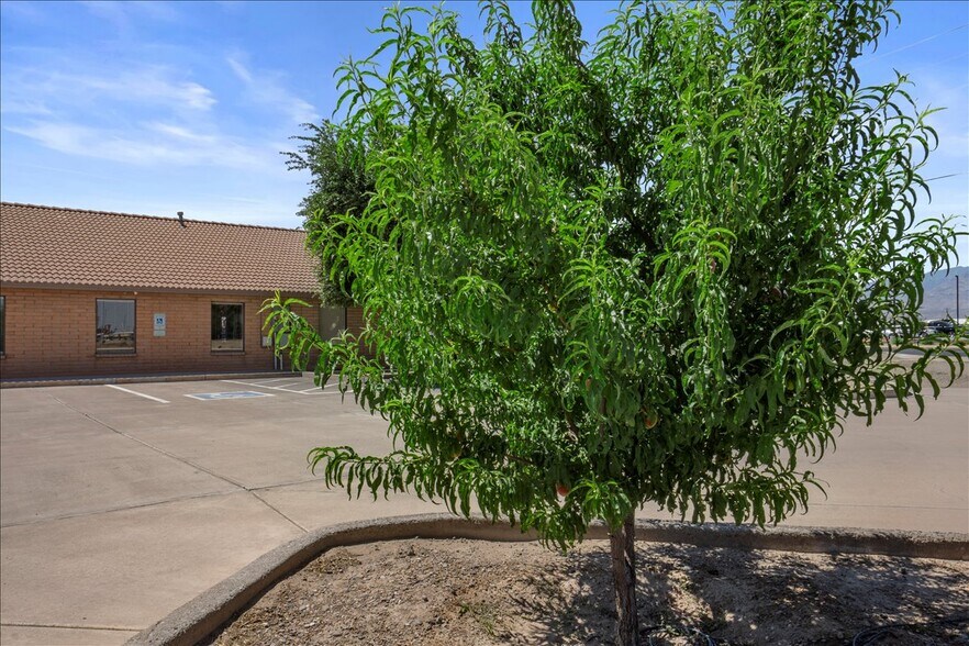 More Photos Of 2748 W US Highway 70, Thatcher Office For Sale