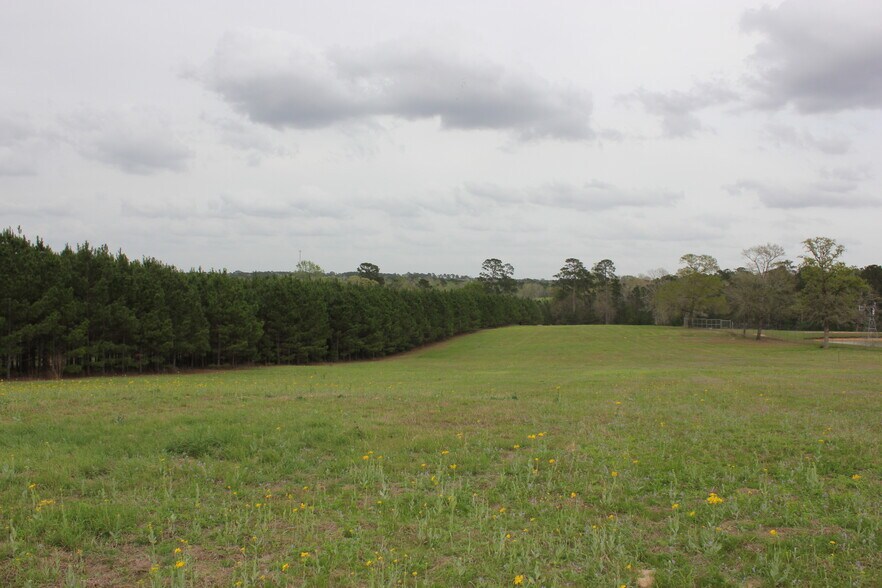 More Photos Of 16046 Honea Rd W, Montgomery Land For Sale